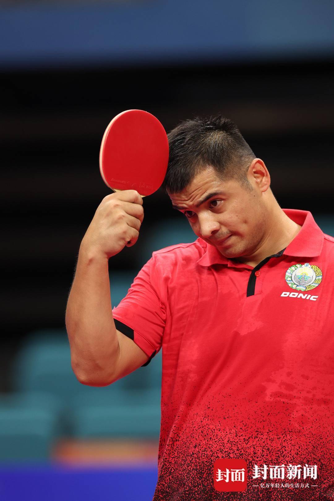 瑞士马术选手赛场失常，遗憾出局