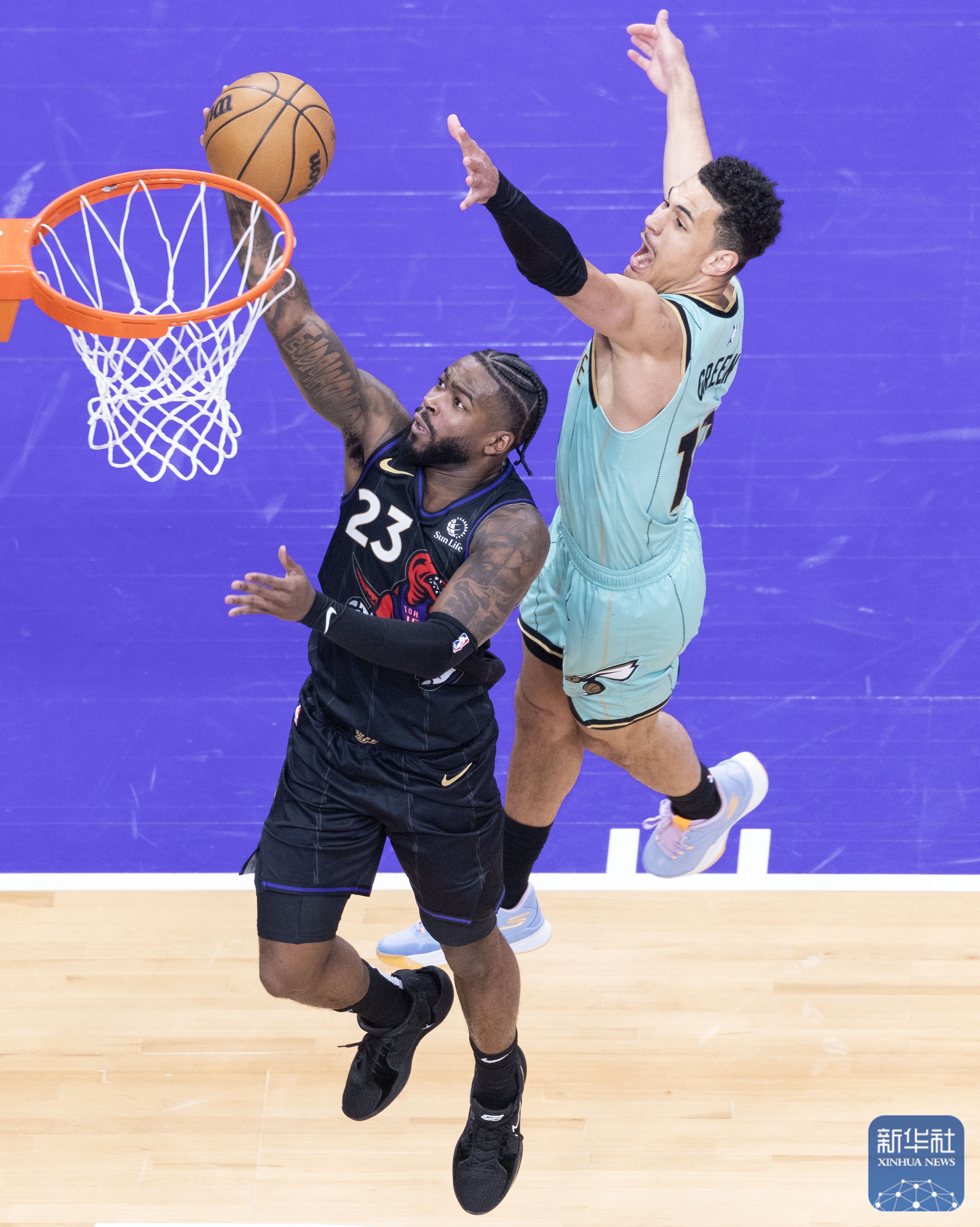 包含黄蜂阵容深度展现,全员出击夺胜的词条 包含黄蜂阵容深度展现,全员出击夺胜的词条